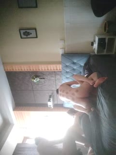 色老板 超碰-韩剧高清在线视频网