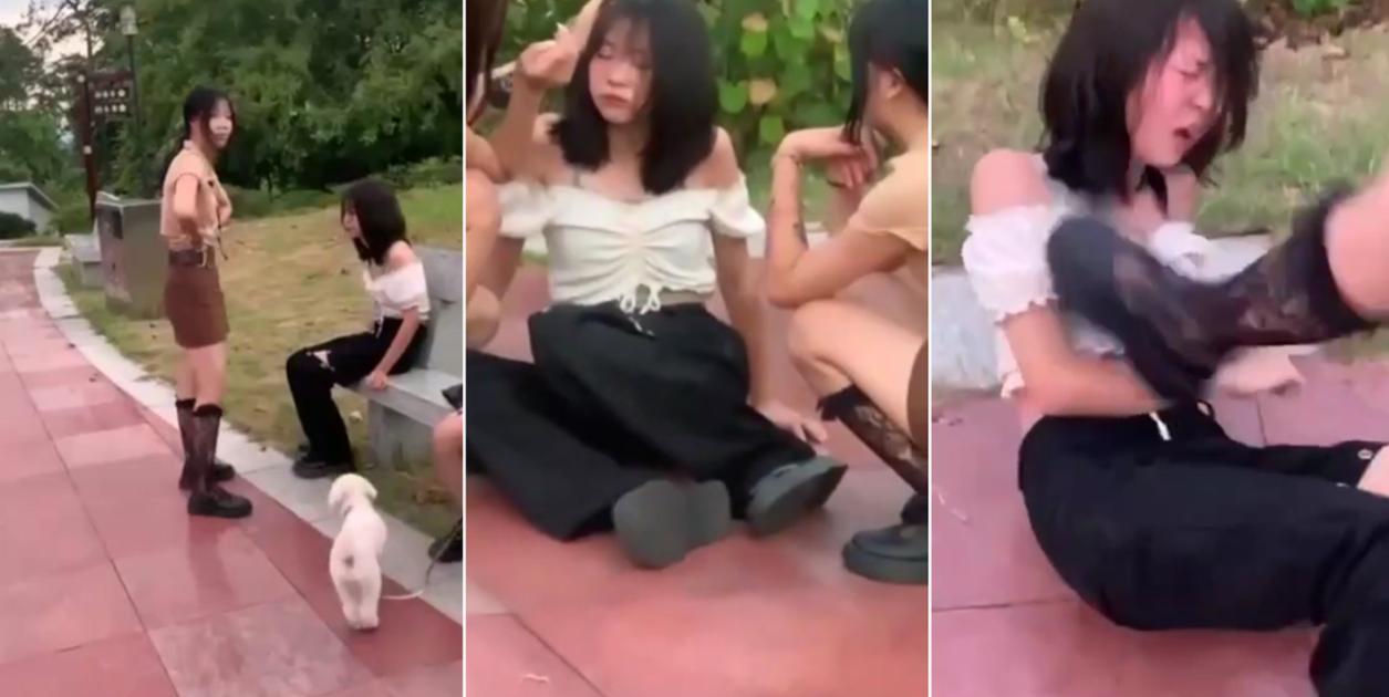 深田泳美av-电影免费高清观看