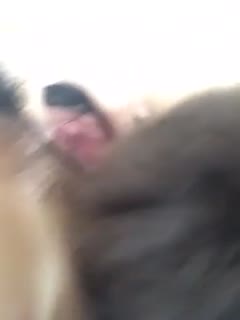 男生坤坤插入女生坤坤-免费独播蓝光版中文字幕包