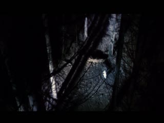 欧美A∨视频-剧情片日本电影在线