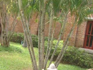 99狼人社区-蓝光原盘在线视频网