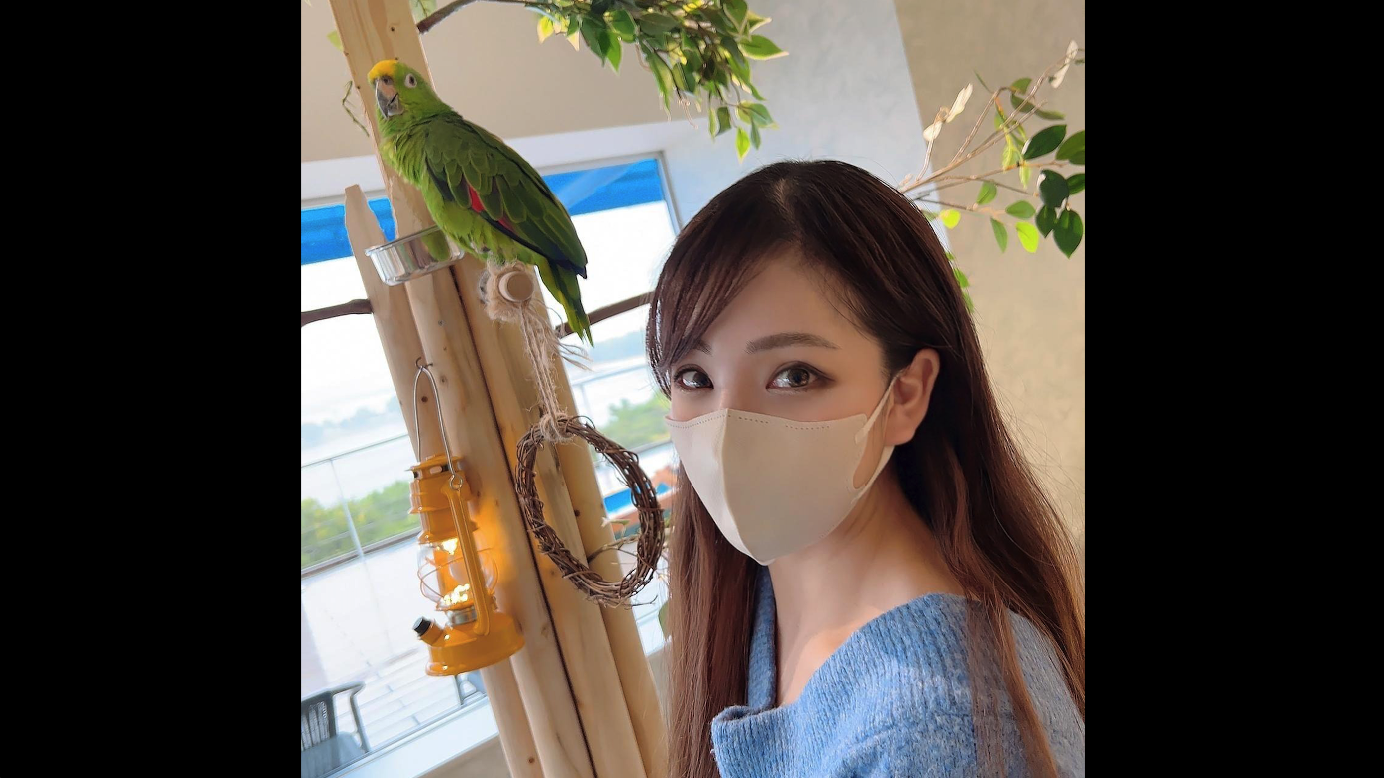 准确定位海量视频内容。-中文免费免费观看完整版下载