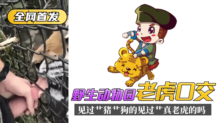 浪荡人妻呻吟声-3D电影中文字幕