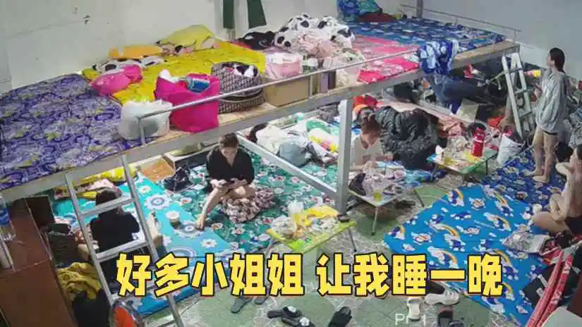 亚洲石原莉奈一区二区在线观看-原创超清免费观看