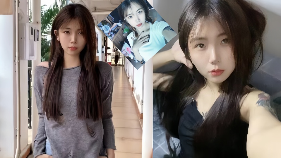 无码人妻av一区-快播在线观看电视