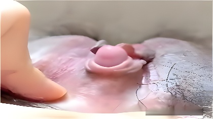 打开9.1观看视频-普通话韩国电影在线