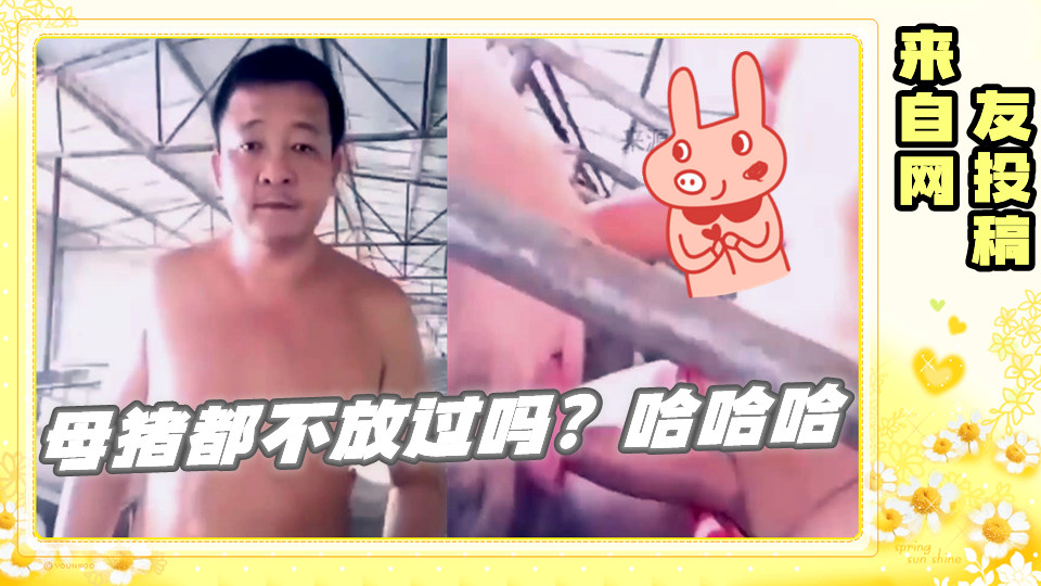 内射逼逼-中文字幕大全在线观看