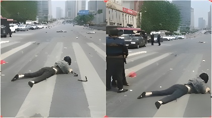 ‍一区欧美av国产91乱码-免费追剧完整在线观看